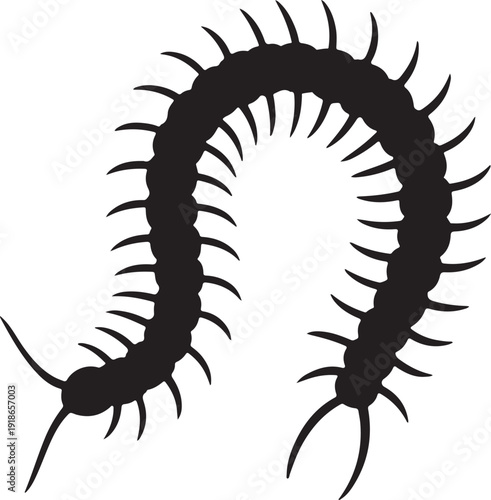 Vector art of a black centipede with many legs is shown, its body curved in an sshape, antennae extended, creating a striking contrast against the white backdrop