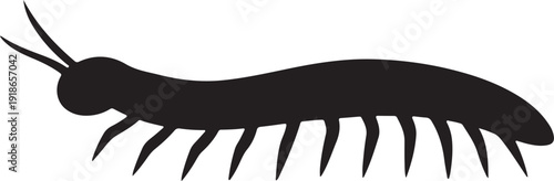 Vector art of a black centipede with many legs is shown, its body curved in an sshape, antennae extended, creating a striking contrast against the white backdrop