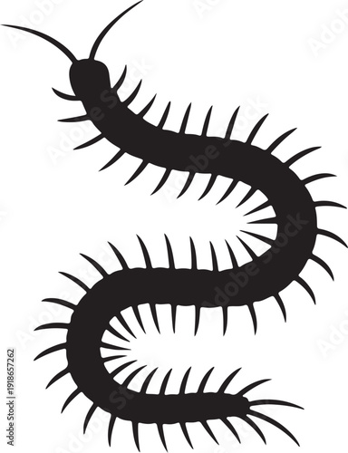 Vector art of a black centipede with many legs is shown, its body curved in an sshape, antennae extended, creating a striking contrast against the white backdrop