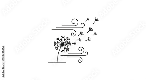 Dandelion flower dispersing seeds in windy weather conditions naturally