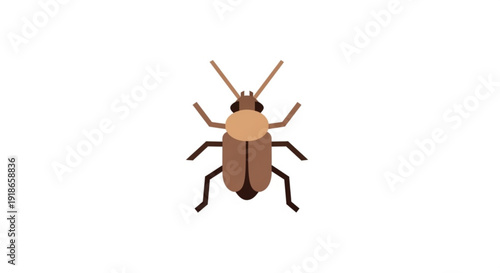 Brown cockroach insect standing alone on white background
