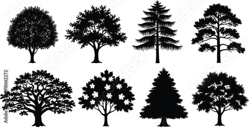 Detailed tree silhouettes set vector illustration, various deciduous and evergreen forest trees isolated on white background for landscape, park and nature design