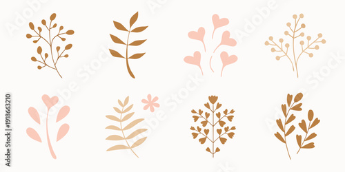 Assorted botanical illustrations of delicate branches and floral elements