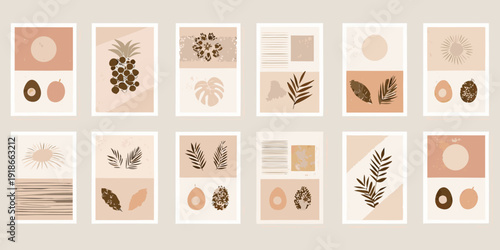 Collection of botanical prints and abstract shapes in neutral tones