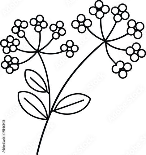 bitter herbs maror line art vector illustration on transparent background