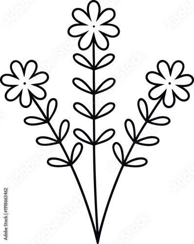 bitter herbs maror line art vector illustration on transparent background