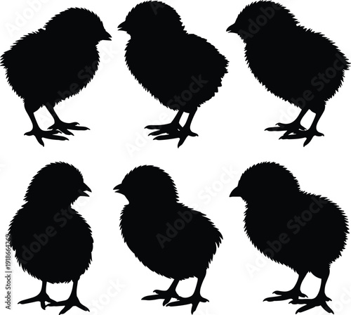 Set of six black chick silhouettes on white background