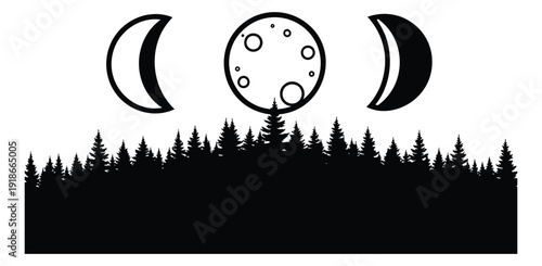 Line art and silhouette moon phases set featuring a pine forest for nature design