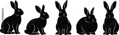 Rabbit silhouette set with cute bunny sitting poses animal pet vector illustration collection isolated