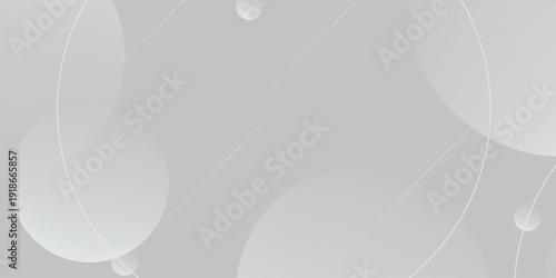 Abstract white and gray color background. Eps10 vector