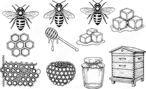 Honey bee and beekeeping vintage engraving illustration set, honeycomb jar hive dipper sketch, natural organic apiculture hand drawn vector collection