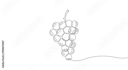 Single line drawing of fresh grapes, healthy fruit icon