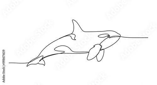 Orca whale swimming, minimalist single line art, marine wildlife