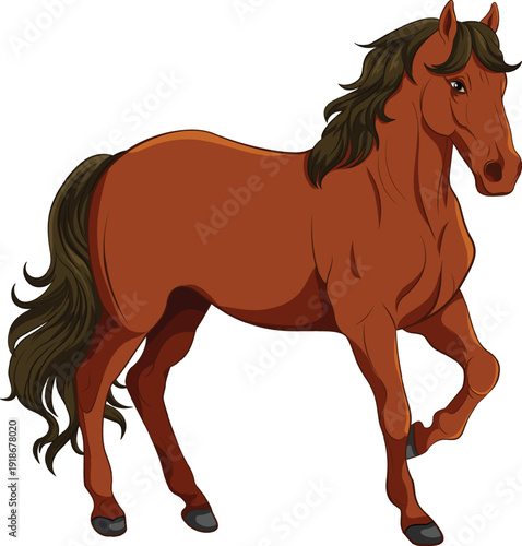 black animals illsutration horse