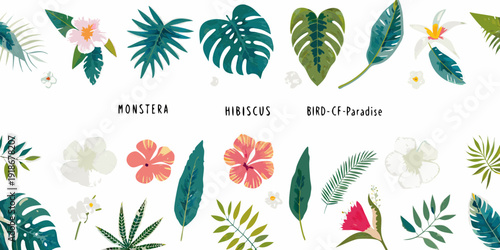A vibrant collection of tropical leaves and flowers in watercolor style