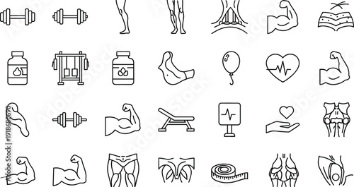 Muscle Anatomy and Fitness Icon Set Featuring Biceps, Leg Muscles, Dumbbell, Supplement Bottle, Heart Rate and Workout Equipment Line Vector Collection
