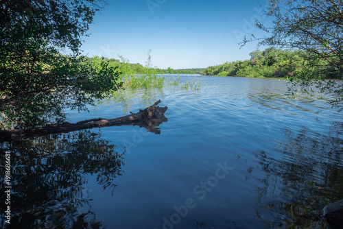 View of a pond from the shore