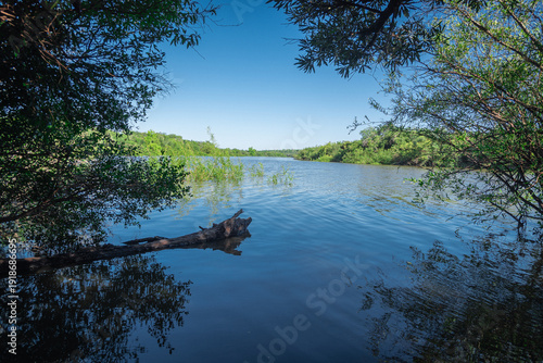 View of a pond from the shore