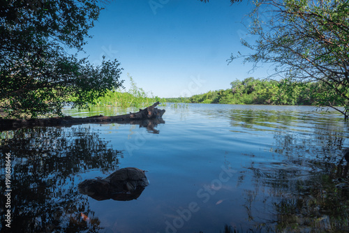 View of a pond from the shore