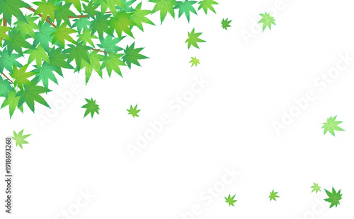 緑のもみじが散るシンプルなフレーム3_横