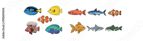 Colorful vector fish set isolated on white background, flat design cartoon sea creatures illustration