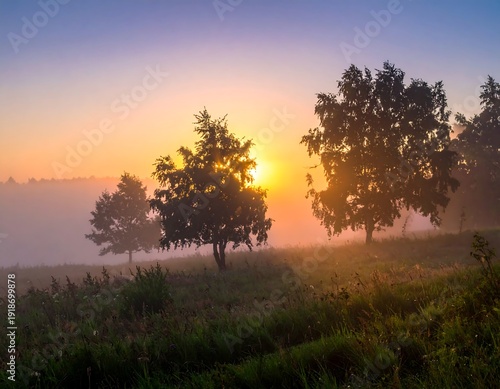Wallpaper Mural A serene sunrise over a misty field with trees Torontodigital.ca