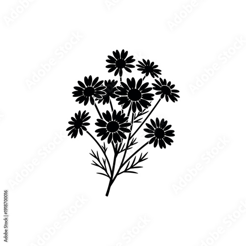 Black and white silhouette of a chamomile flower bouquet.