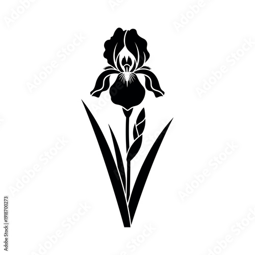 Black silhouette of an iris flower with leaves.