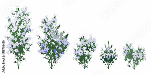A series of lilac bushes progressively decreasing in size