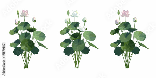 Three arrangements of lotus flowers and lily pads on a white background