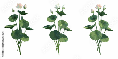 Three clusters of lotus flowers and leaves on a white background