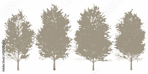 Four stylized evergreen trees isolated on a white background