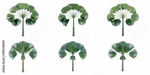 Six stylized palmetto trees with fan shaped leaves isolated on white