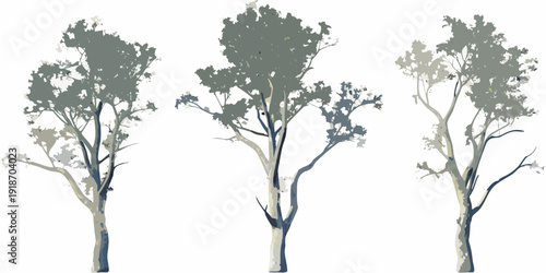Three isolated trees with varying foliage density on a white background