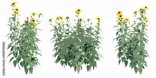 A vibrant arrangement of sunflowers and lush green foliage