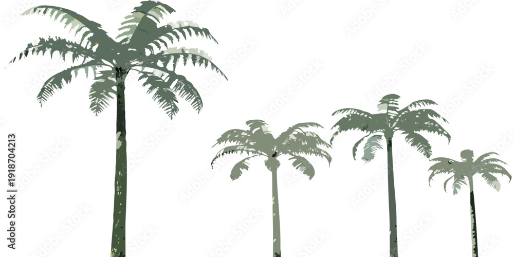 Obraz premium A group of slender palm trees against a plain white background