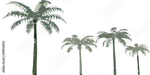 A group of slender palm trees against a plain white background