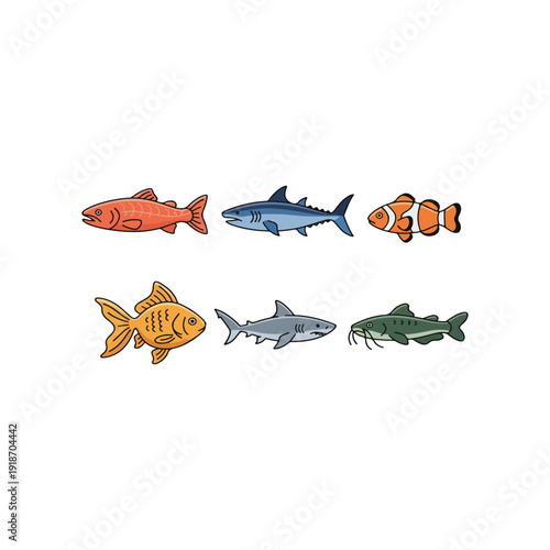 Colorful freshwater fish species vector illustration set isolated on white background