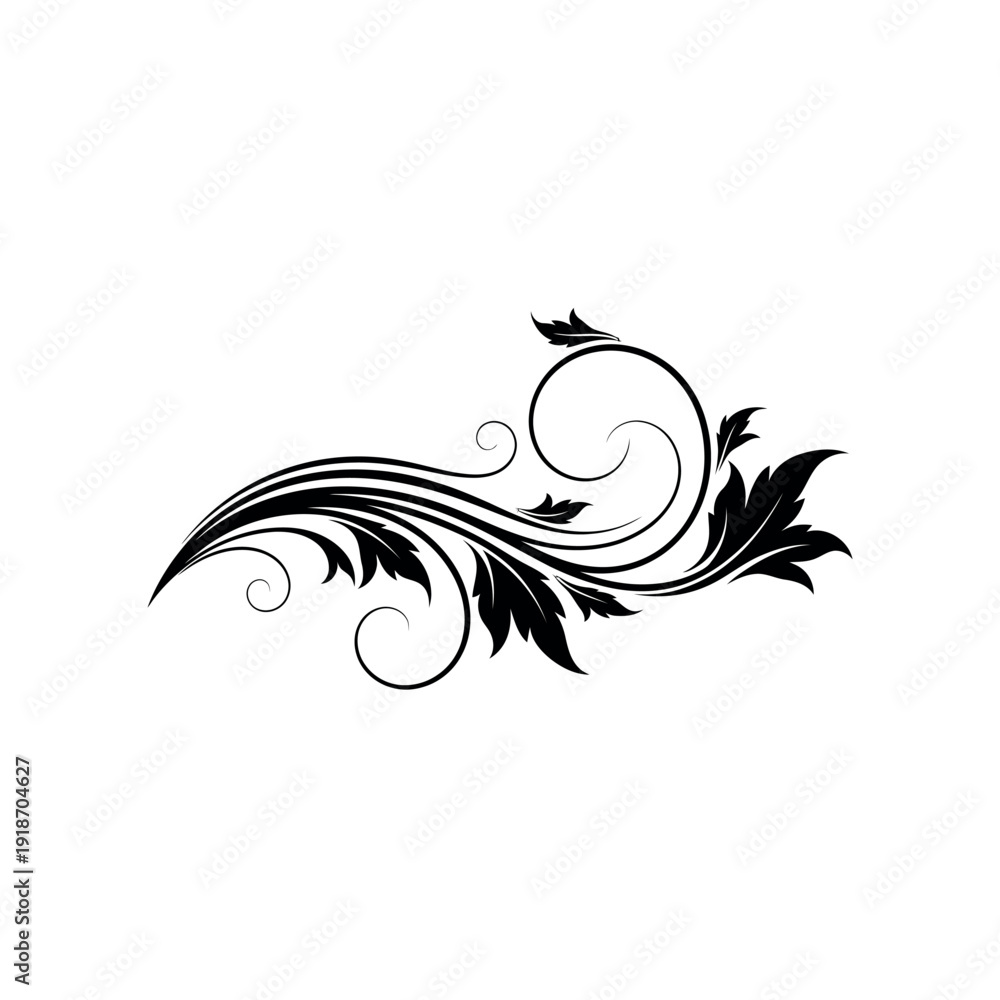Fototapeta premium Elegant Black Swirl Floral Ornament Design Element.