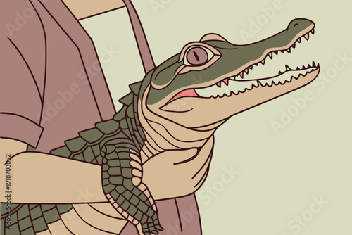 Close-up illustration of a person holding a small baby crocodile in their hands