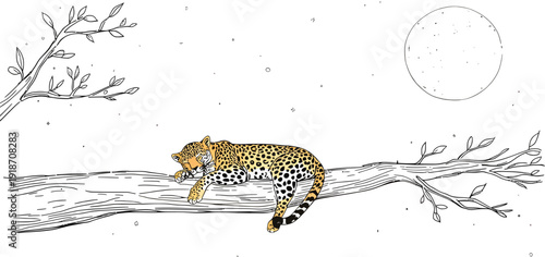 Adorable spotted jaguar cub peacefully sleeping soundly while relaxing stretched out upon a thick tree branch under the bright full moon sky illustration.