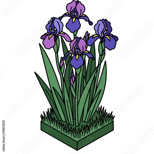 Purple Irises in a Green Garden Bed.