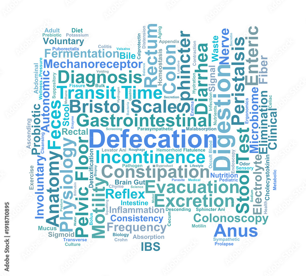 Obraz premium Defecation Word Cloud. Core Concepts in Gastrointestinal Physiology and Excretory Health