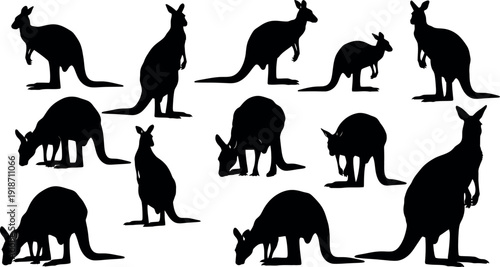 Collection of kangaroo silhouettes in various poses