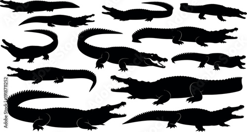 Dangerous Alligator and Crocodile Black Silhouettes Set for Wildlife Design