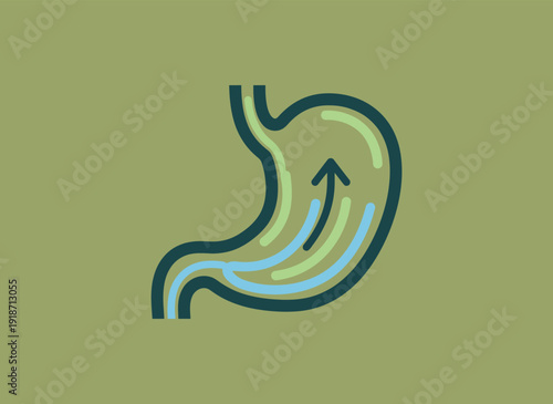 Stomach Illustration Depicting Digestive Process with Arrow Showing Movement.