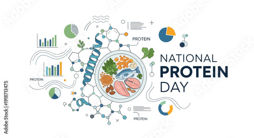 Illustration of a plate with various food items surrounded by graphs and charts on National Protein Day with a white background.