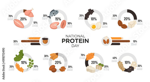 Infographic illustration for National Protein Day highlighting protein rich foods and macronutrient intake for a balanced diet and nutritional awareness with vector icons and pie charts.
