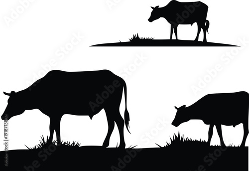 Minimalist black silhouettes of cows and calves on a plain background.