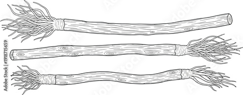 Three drawing depictions of miswak toothbrush sticks made from aromatic tree twigs are shown horizontally.